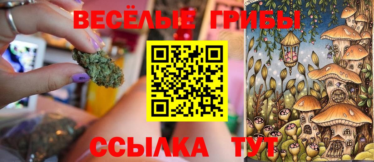 Орск  Галлюциногенные грибы Cubensis  Вход с VPN 